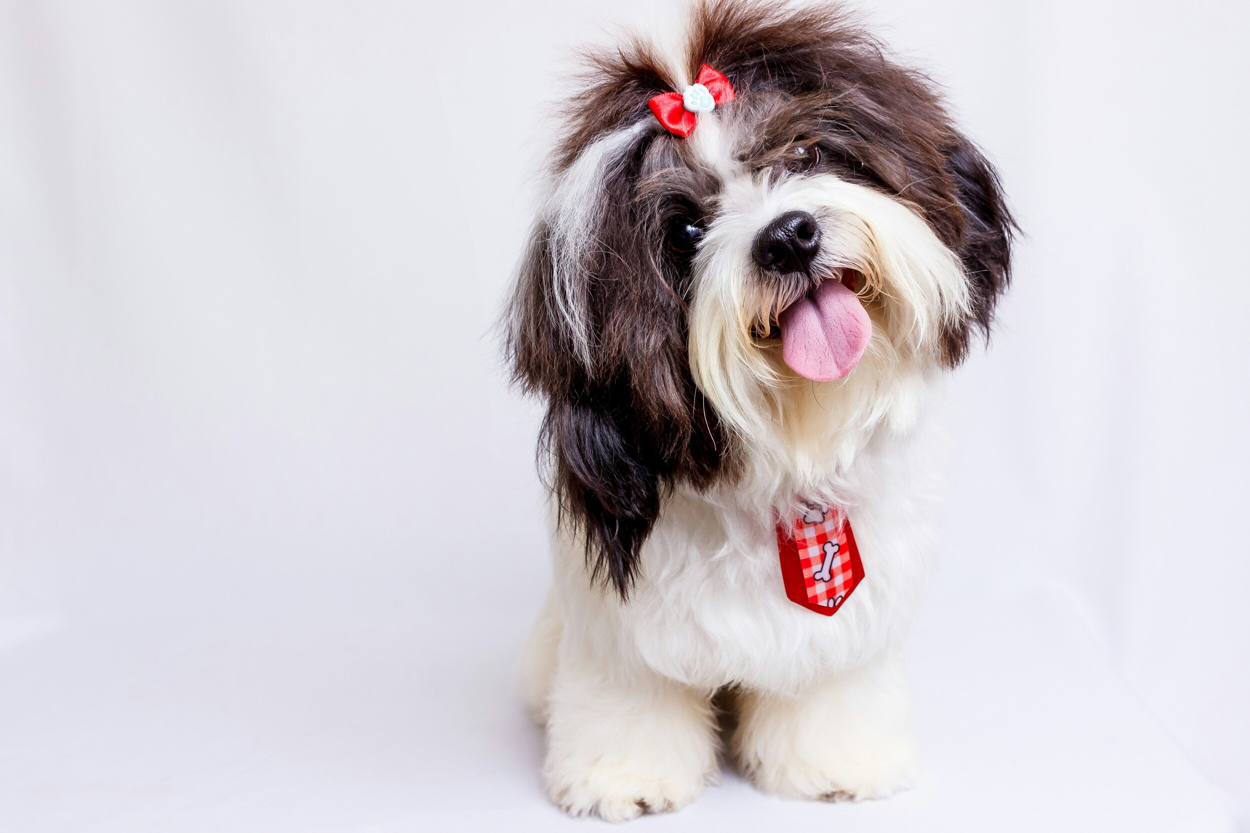 Common Grooming Mistakes to Avoid
