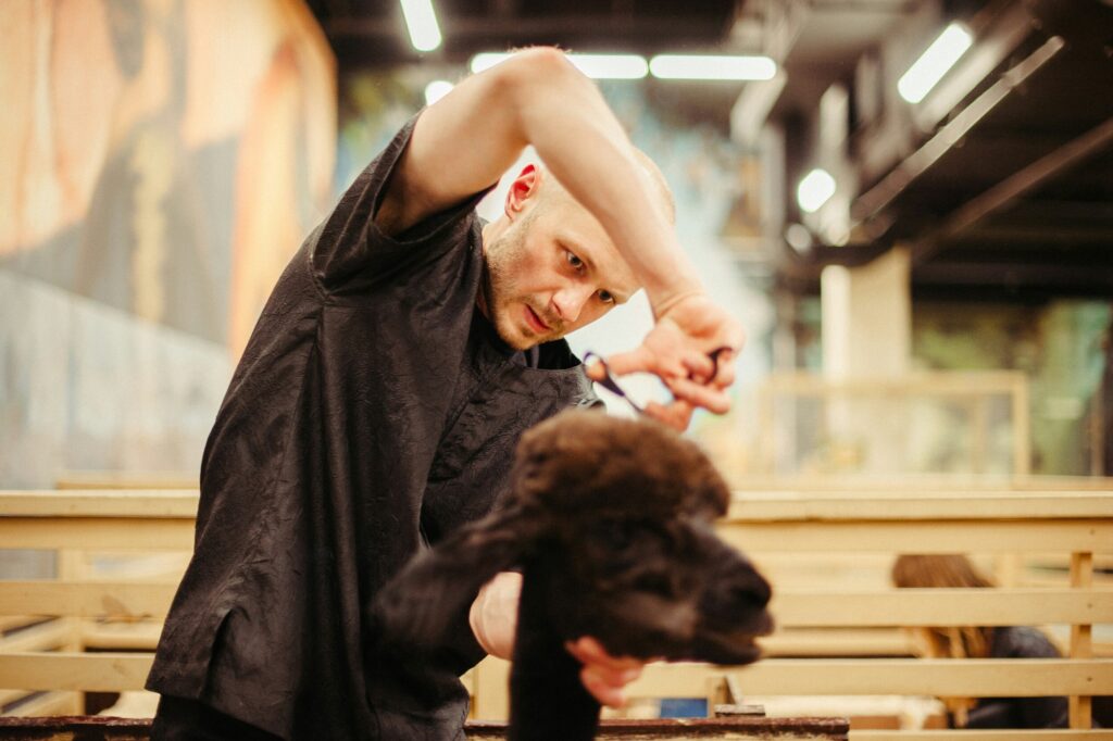 Pet Grooming Trends for 2025