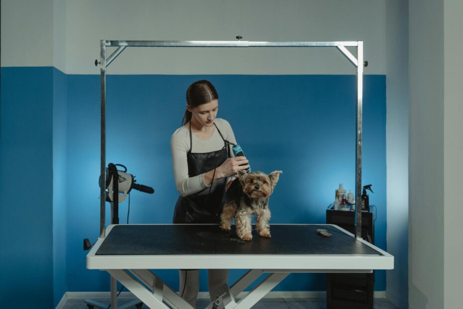 Creative Grooming Trends